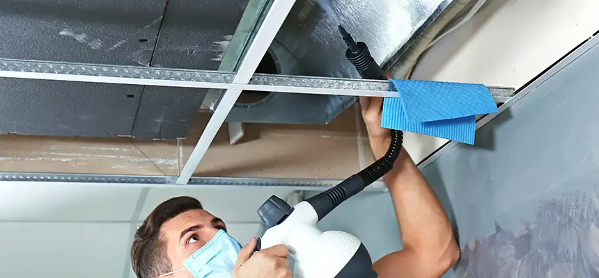 Our Air Duct Rodent Removal Services in Garfield Heights, OH