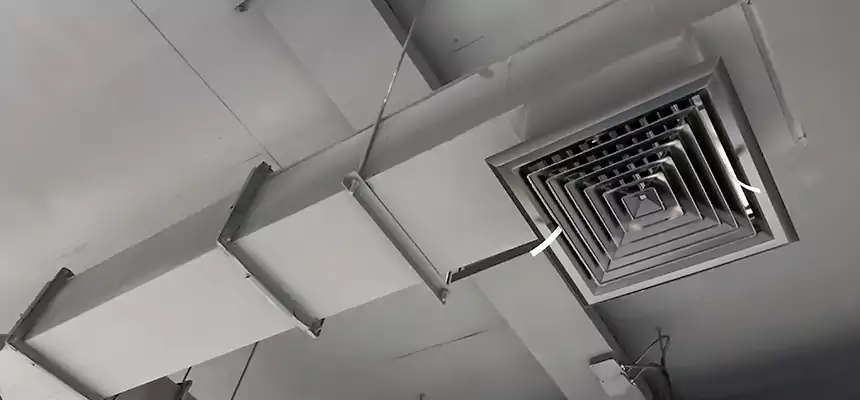 Our Rodent Droppings In Vents Services in Garfield Heights, OH