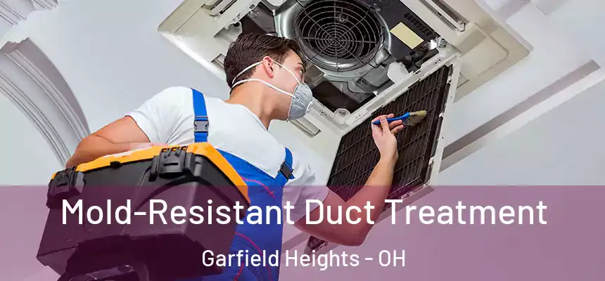  Mold-Resistant Duct Treatment Garfield Heights - OH