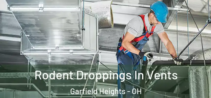  Rodent Droppings In Vents Garfield Heights - OH