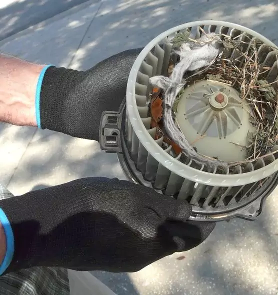 About Air Duct Rat Removal in Garfield Heights, OH